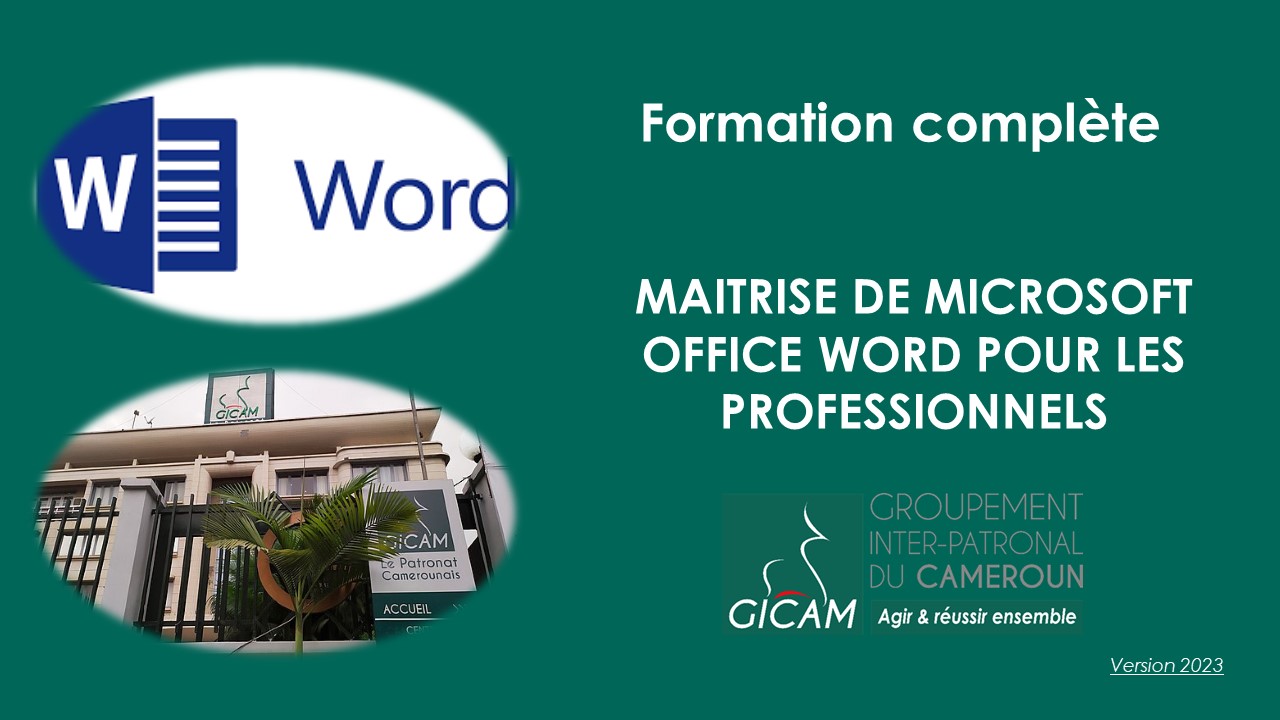 Course Image Maîtrise de MS Office Word pour les Professionnels